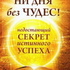 Джо Витале - Ни дня без чудес! Недостающий секрет истинного успеха: Простые советы инструктора по чудесам